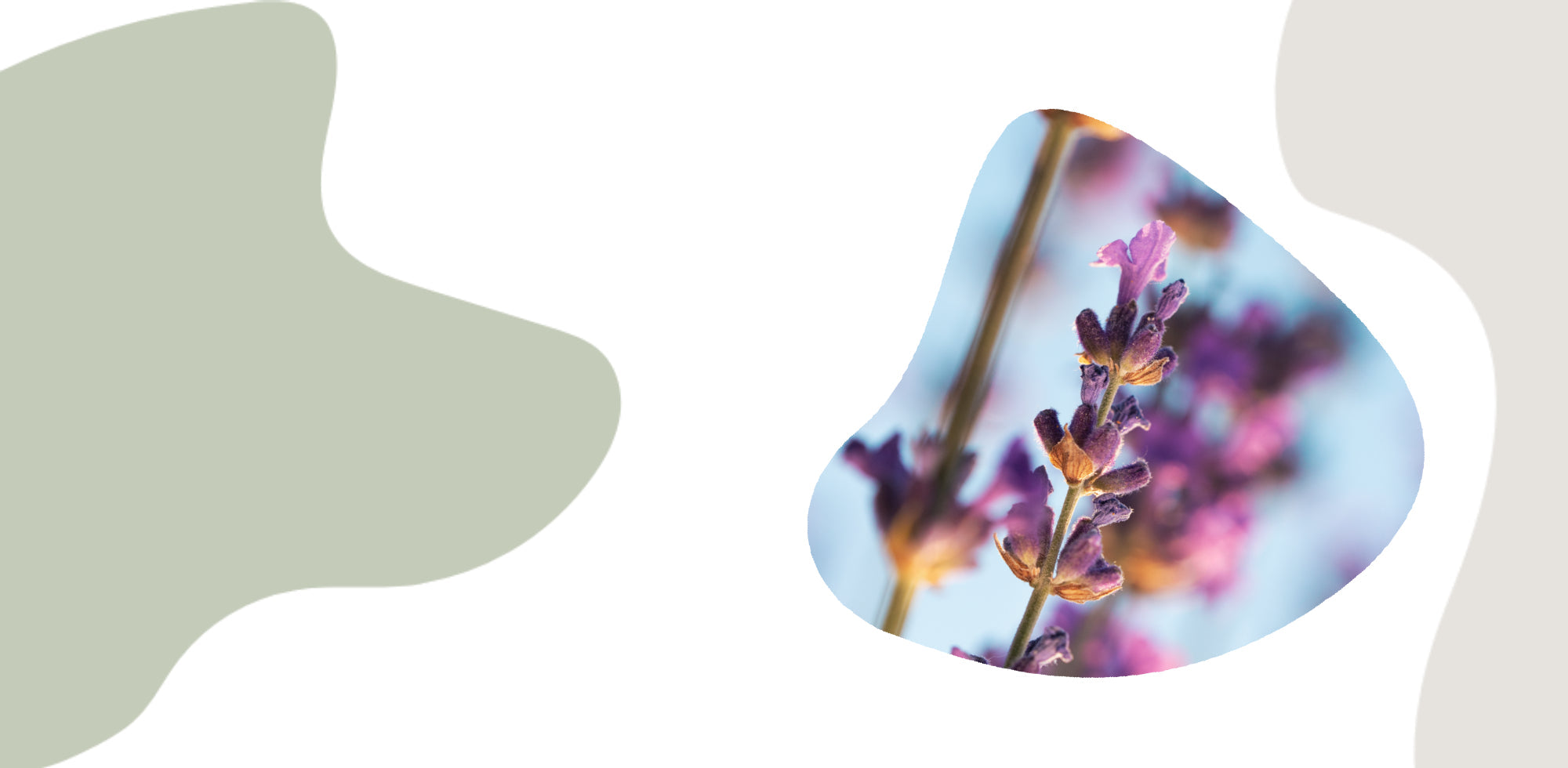 Aromatherapie