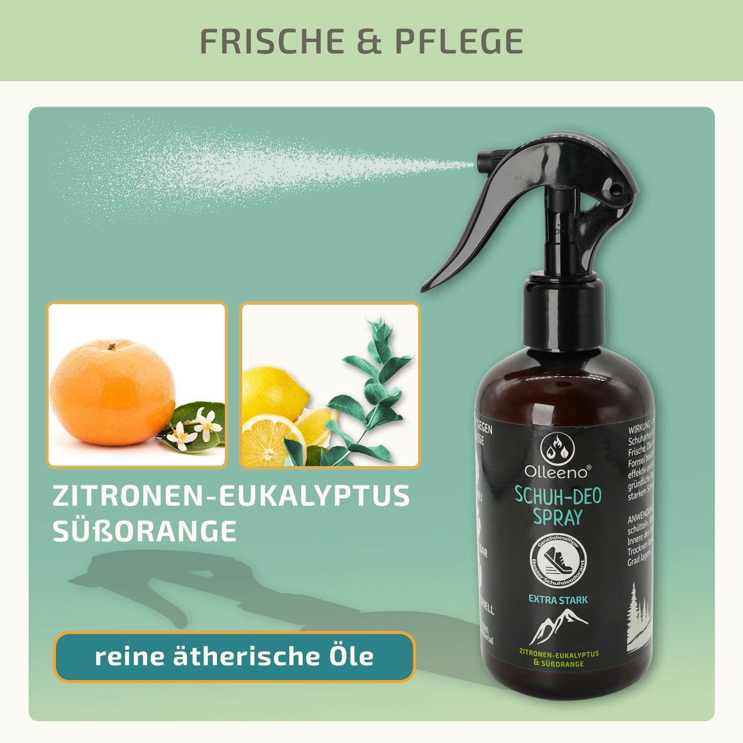 Schuh-Deo Spray 250ml - OLLEENO