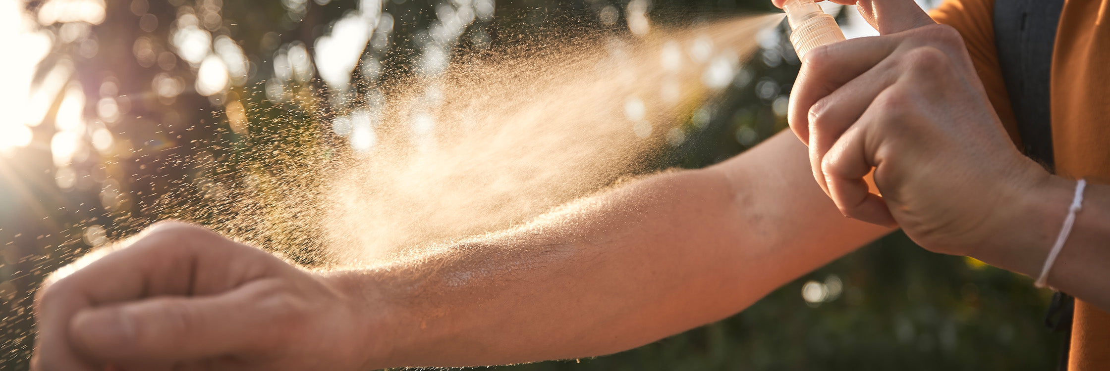 Olleeno: Epidemiologische Untersuchungen Banner