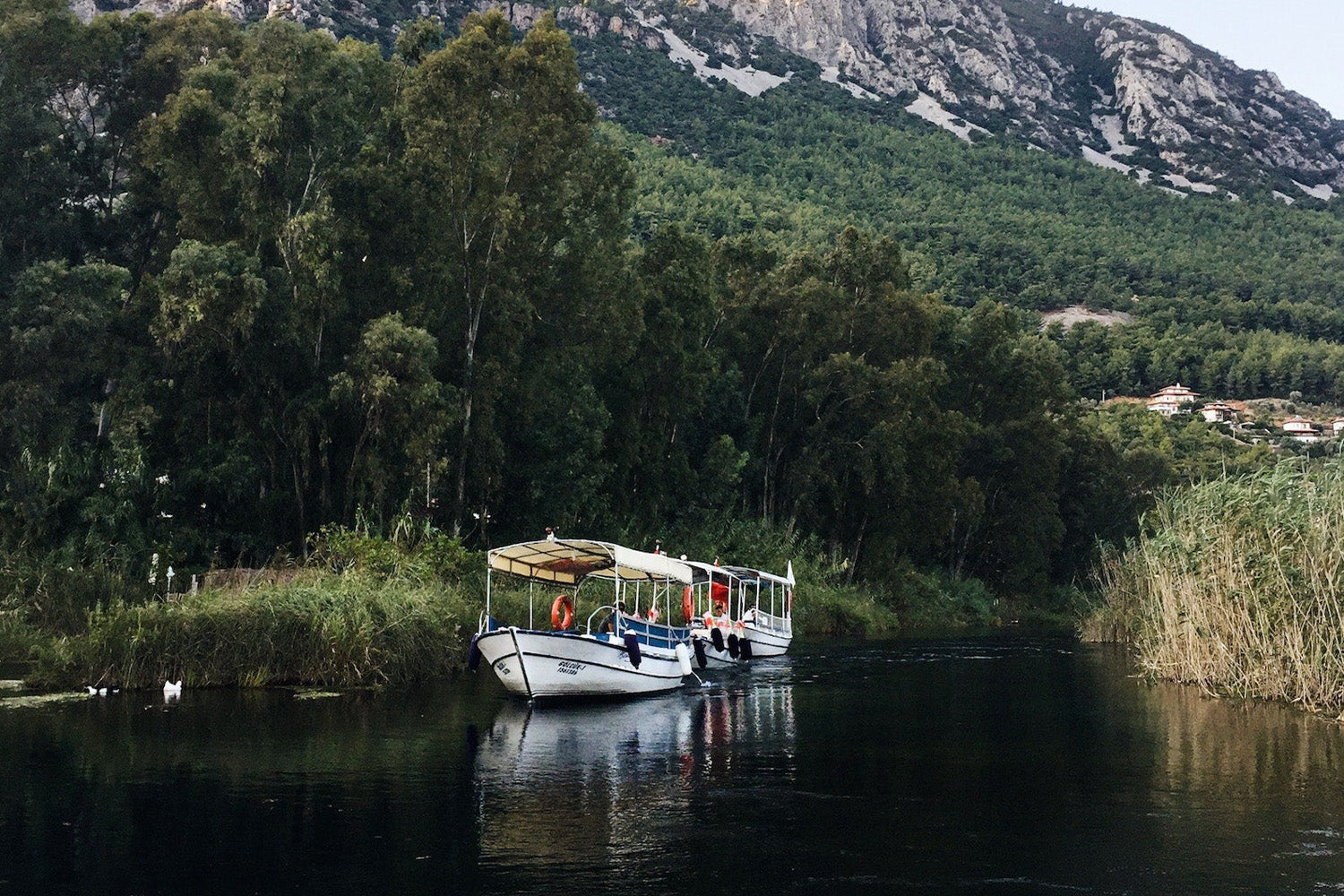 Olleeno: Bootsfahrt Banner