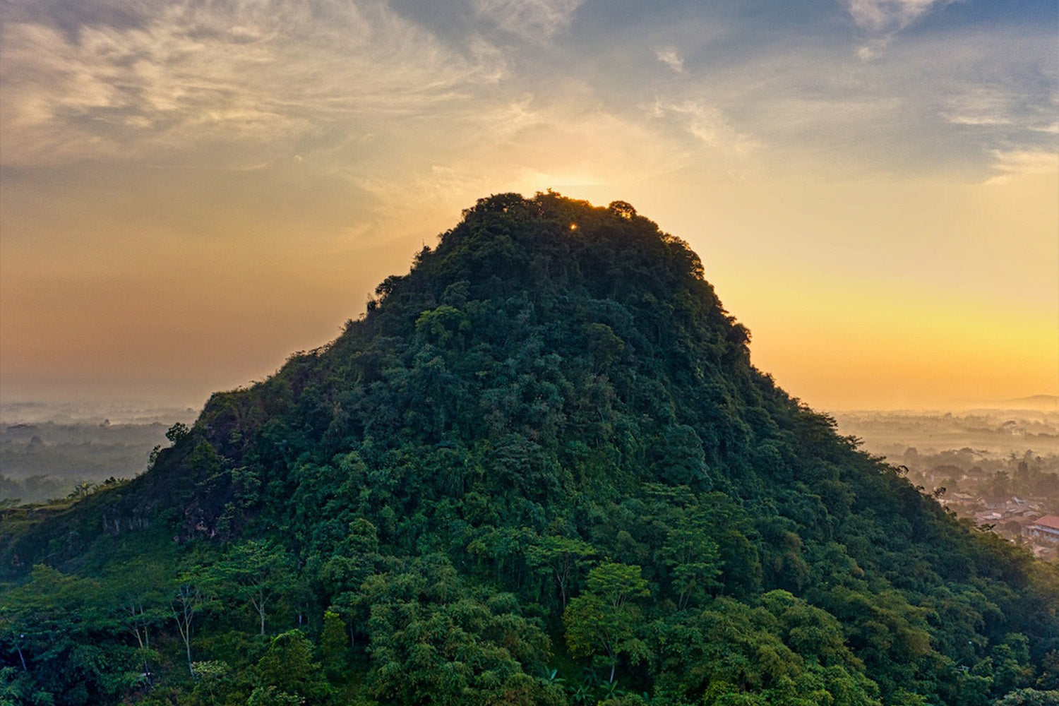 Olleeno: Tropen Banner