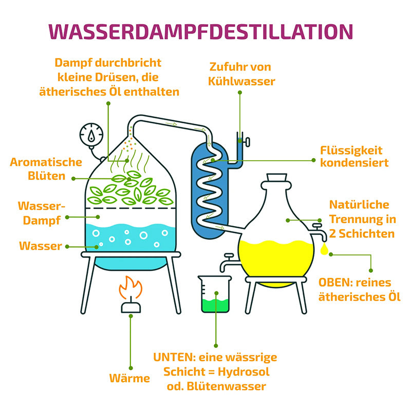 Olleeno: Herstellung der Öle Banner