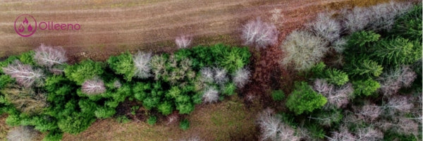 Wie die Tierwirtschaft unsere Umwelt zerstört – und wie wir dagegen vorgehen können