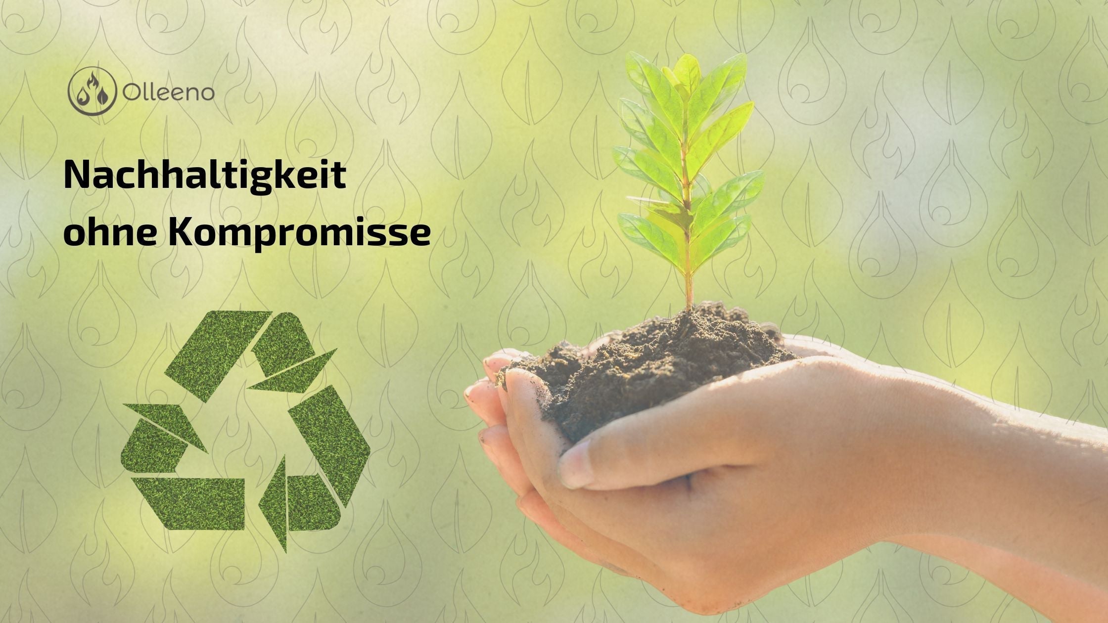 Nachhaltigkeit ohne Kompromisse – Ein Blick hinter die Kulissen von Olleeno