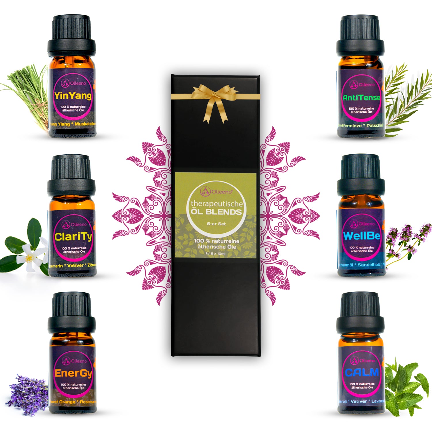 Ätherische Öle 100% naturrein, Geschenk Set 6 x 10ml - OLLEENO