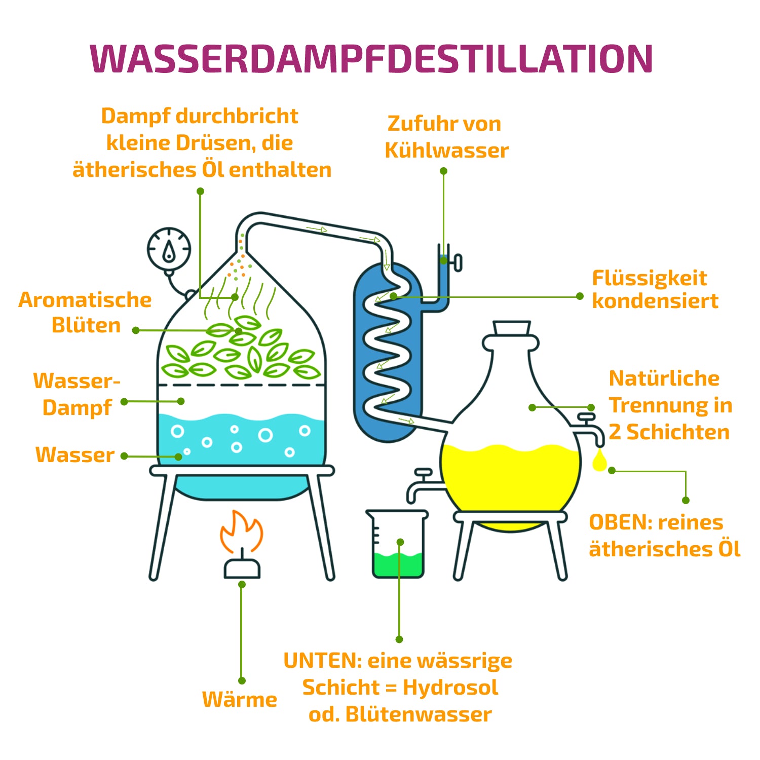 Ätherische Öle 100% naturrein, Geschenk Set 6 x 10ml - OLLEENO